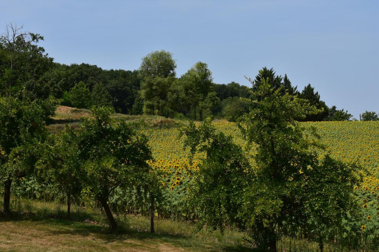 Domaine De Calbiac Bed & Breakfast Dolmayrac Exterior photo